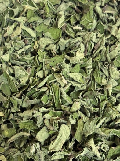 Blend - ALEGRIA - Embalagem com 10 sachês