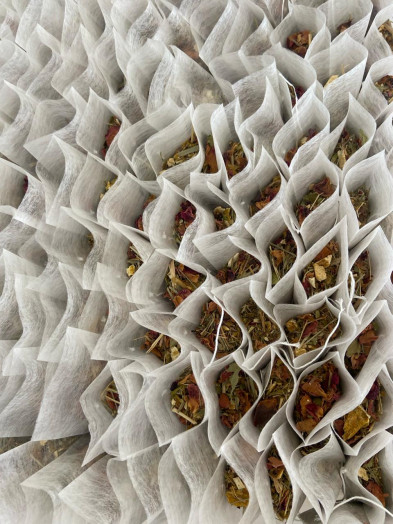 Blend - BONS SONHOS - Embalagem com 10 sachês